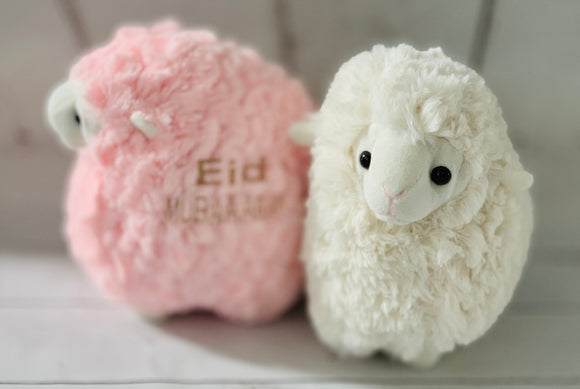 Eid cuddle buddies