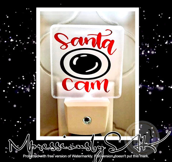 Santa Cam